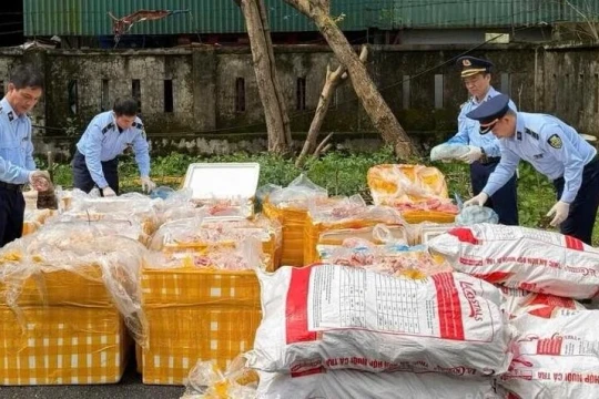 Phát hiện hơn 2,6 tấn nội tạng, xương động vật không rõ nguồn gốc
