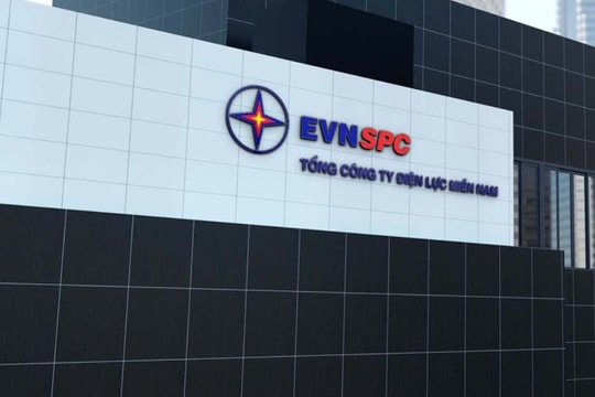 EVN thông tin về 2 đối tượng gây thiệt hại tài sản Nhà nước