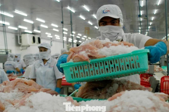 Lo rủi ro logistics, một số doanh nghiệp thủy sản tạm dừng xuất khẩu Trung Đông
