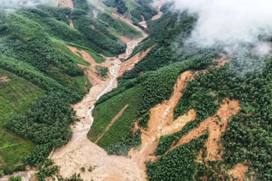 Việt Nam có đỉnh núi cao 1.400m là nơi mưa lớn thứ hai thế giới, được ví như 'Đà Lạt của miền Trung'