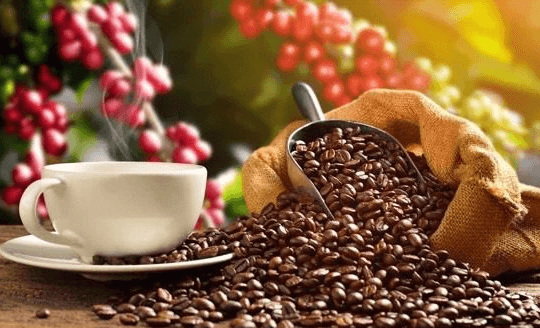 Loại hạt thế giới uống mỗi ngày mang về cho Việt Nam 1,76 tỷ USD sau 2 tháng