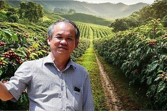 Tham vọng trồng 20.000ha cà phê ở tuổi U70, bầu Đức thừa nhận 'không còn dám liều mạng nữa'