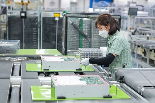 Một thị trường ở Trung Đông vừa xóa bỏ thuế quan đối với 99% hàng hóa nhập khẩu từ Việt Nam