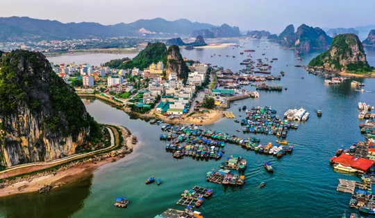 Đề xuất thí điểm cơ chế, chính sách đặc thù, đột phá cho đặc khu kinh tế đầu tiên của Việt Nam