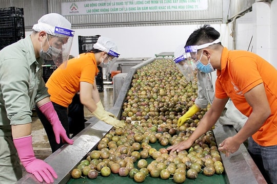 Từ 1/6, doanh nghiệp Việt có thể mất quyền xuất khẩu sang Trung Quốc nếu không làm điều này