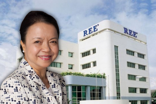 Thâu tóm dự án điện gió 9.100 tỷ, công ty của bà Nguyễn Thị Mai Thanh đặt mục tiêu lợi nhuận cao nhất lịch sử
