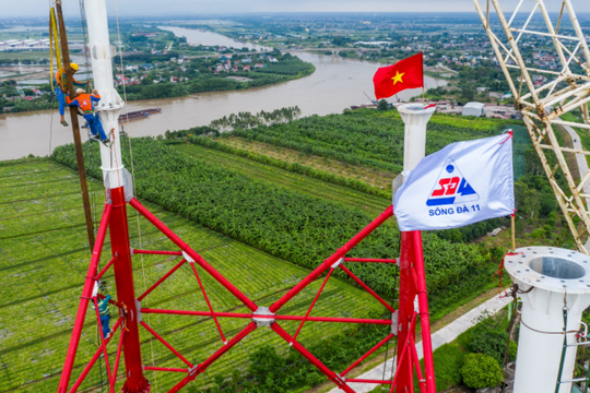 Chủ tịch Sông Đà 11 (SJE) Nguyễn Quang Luân xin từ nhiệm