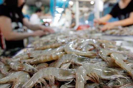 'Mỏ vàng dưới nước' của Việt Nam trỗi dậy: Trung Quốc chi đậm 309 triệu USD mua về, mặt hàng 'át chủ bài' mới lộ diện