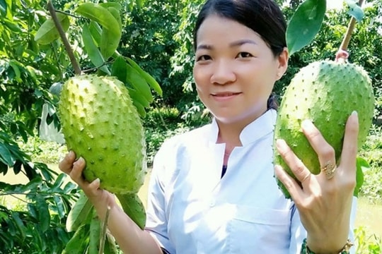 Đi lên từ gian khó, nông dân Cần Thơ kiếm được 10 tỷ/năm nhờ loại quả to bự từng bị ‘ngó lơ’, nay tạo ra sản phẩm đi thẳng sang Mỹ, Hàn Quốc