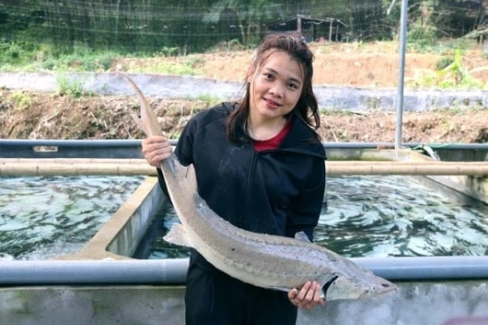 Cô gái Mường nuôi cá tầm ở Thanh Hóa trúng cử đại biểu HĐND tỉnh