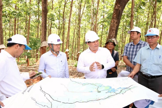 Dự kiến vận hành năm 2026, dự án điện mặt trời 210 ha đã được duyệt vẫn ‘đứng hình’