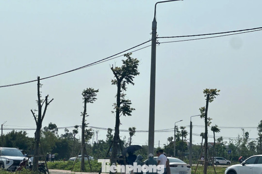 Đất nông thôn vùng quê bất ngờ 'sốt', ô tô đổ về kín đường