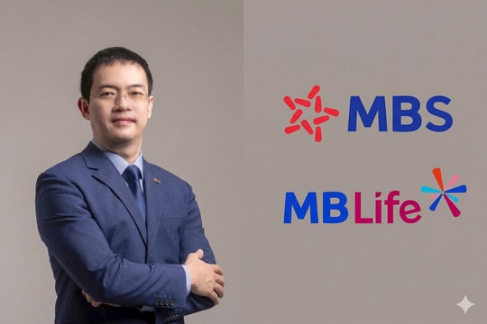 Rút lui giữa lúc MBS lãi kỷ lục, 'lão tướng' 30 năm của MBB bất ngờ xoay trục sang mảng bảo hiểm