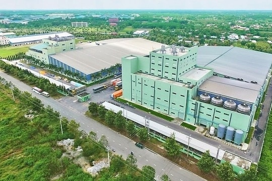 STK: Nhà cung ứng sợi cho Nike, Adidas, Puma... dự kiến ghi nhận doanh thu cao nhất trong gần 10 năm