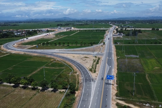 Tầm nhìn tự do tài chính với chiến lược đầu tư khôn ngoan
