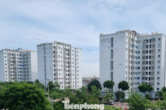 Đà Nẵng dự kiến cho thuê nhà ở xã hội thấp nhất gần 54.000 đồng/m²/tháng