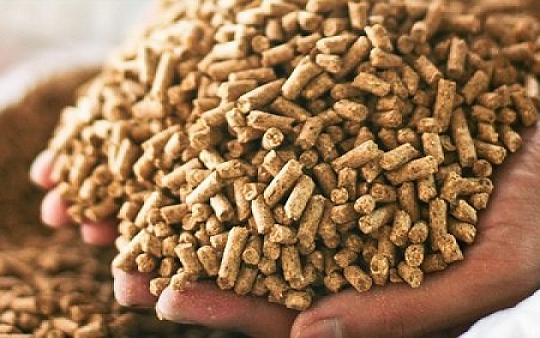 Một 'mỏ vàng' mới nổi của Việt Nam âm thầm 'hốt bạc': 2 tháng thu hơn 250 triệu USD, Trung Quốc chi đậm
