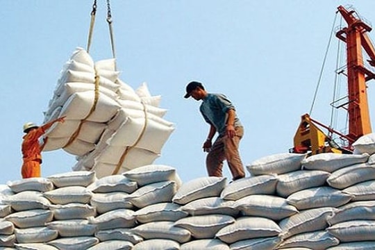 Doanh nghiệp xuất khẩu gạo gặp khó