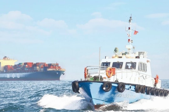 Tàu biển mang cờ Việt Nam được giảm phí vận tải