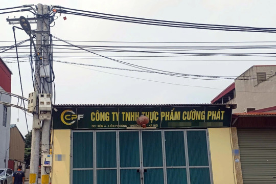 Bên trong công ty cung cấp thịt lợn nhiễm dịch tả lợn Châu Phi vào trường học