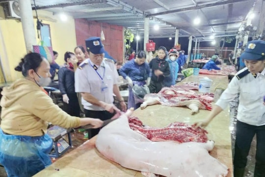 Vụ thịt lợn dịch vào bếp ăn trường học: Không thể đổ do thiếu người, lương thấp