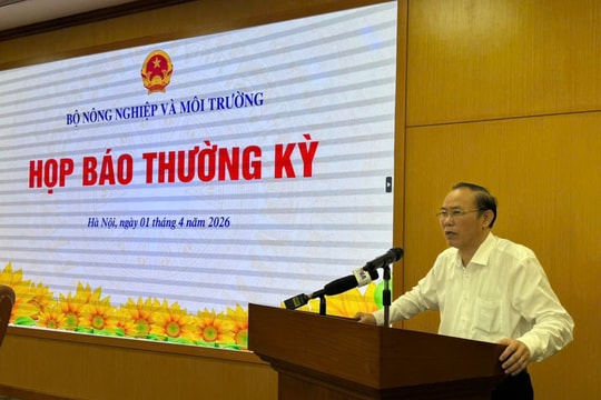 Trung Quốc ‘vung tiền’ gom hàng Việt, xuất khẩu nông sản quý I đạt gần 17 tỷ USD