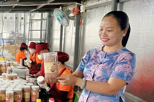 Bỏ công việc văn phòng 8 tiếng đằng đẵng/1 ngày, 9X về quê bán mặt hàng ai cũng có thể dùng, doanh thu gần 1,5 tỷ mỗi năm và giúp được 10 người