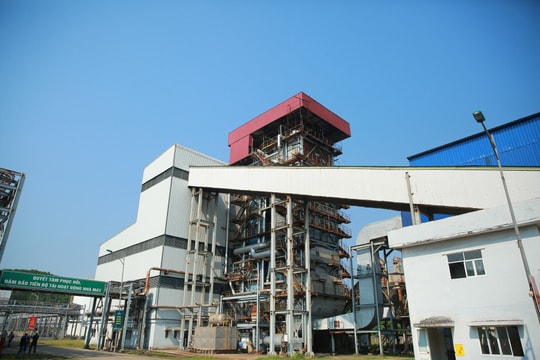 Tháng này, nhà máy 2.200 tỷ đồng phục vụ sản xuất xăng sinh học sẽ chạy 100% công suất sau 10 năm bỏ hoang