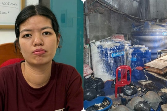 Khởi tố Chu Thị Hòa tuồn 510 tấn giá đỗ 'ngậm' chất cấm ra thị trường