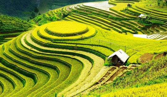 Việt Nam định vị một vùng kinh tế giữ vai trò kết nối Đông Nam Á với Trung Quốc, Trung Á và châu Âu