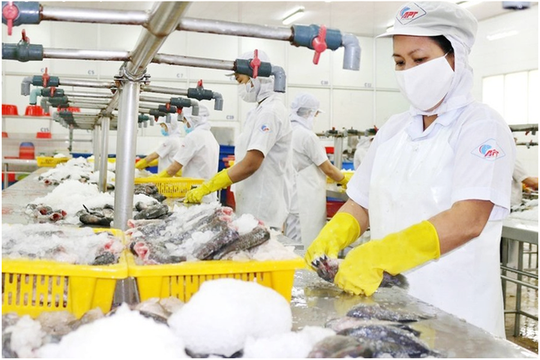 Ngậm đắng vì vay vàng, một công ty làm nai lưng 17 năm vẫn 'bất lực' trước 5.833 lượng SJC nợ tại Sacombank