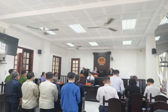 Tuyên án 11 năm 6 tháng tù đối với cựu Trưởng ban Quản trị chung cư Miếu Nổi