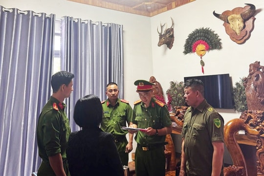 Chính thức khởi tố một chủ xưởng gỗ lớn, doanh thu 143 tỷ đồng
