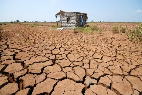 Nguy cơ xuất hiện El Nino rất mạnh, khí hậu nước ta sẽ thế nào?
