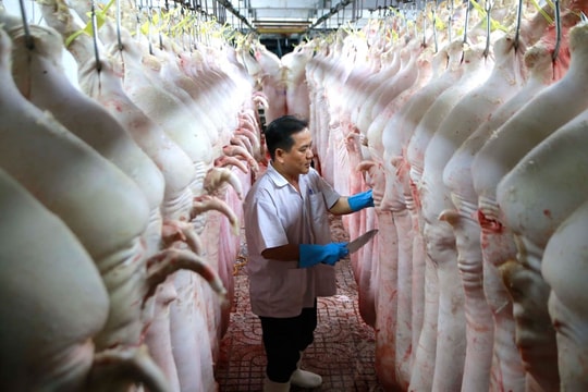 Việt Nam sẽ vận hành sàn giao dịch thịt lợn vào cuối tháng 4 này