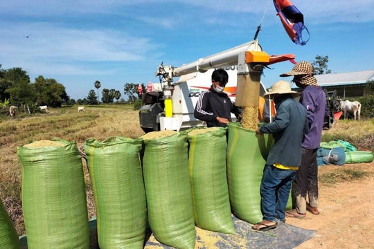 Thu gần 5.500 tỷ đồng từ gạo, Campuchia vẫn bị cảnh báo vì giá xăng dầu cao gấp rưỡi Việt Nam