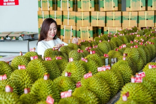 Thương mại Việt Nam - Trung Quốc tăng tốc kỷ lục
