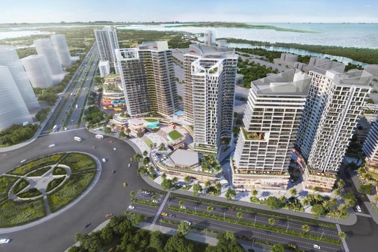 Thanh tra chỉ ra loạt vi phạm tại dự án hơn 900.000m2 của DIC Corp (DIG), đề nghị tạm dừng điều chỉnh tiến độ