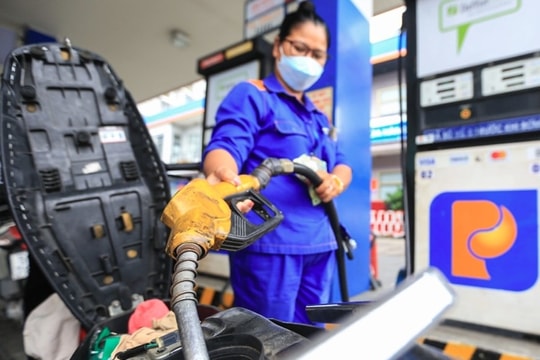 Cục Thuế yêu cầu triển khai gấp chính sách thuế 0% với xăng dầu