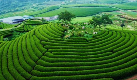 Việt Nam sắp có thêm khu du lịch quốc gia, quy mô hơn 200.000ha trải dài 12 xã phường tại tỉnh rộng nhất miền Bắc