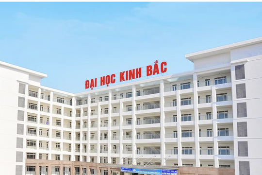 Bắt Phó Chủ tịch Hội đồng Trường Đại học Kinh Bắc Nguyễn Thị Tuyết Hồng