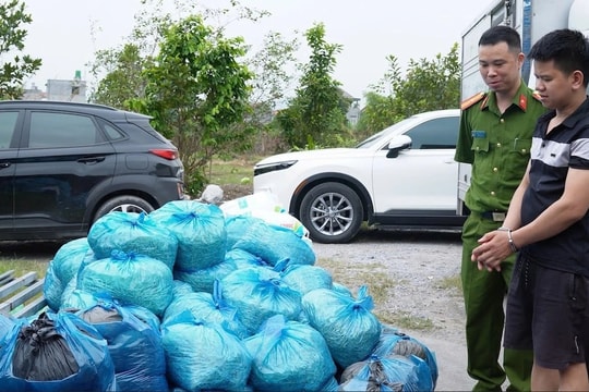 Kiểm tra đột xuất cơ sở sản xuất giá đỗ rộng 1.000m2, thu giữ gần 4 tấn hàng 'ngậm' hóa chất cấm