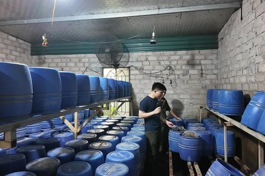 Nghi ngờ xưởng sản xuất giá đỗ của Tạ Văn Xã, công an đột kích thu giữ 4 tấn hàng có chứa chất độc