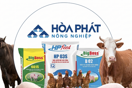 Bất chấp 'cú sốc' từ Trung Đông, mảng thức ăn chăn nuôi của Hòa Phát vẫn tăng trưởng hai chữ số