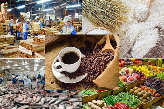 Từ nay, Việt Nam chính thức có nền tảng chợ đầu mối nông sản trực tuyến tại Singapore