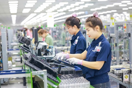 Từ bài học Hàn Quốc, Đài Loan: Làm gì để doanh nghiệp tư nhân Việt Nam không còn ‘gia công giá trị thấp’?