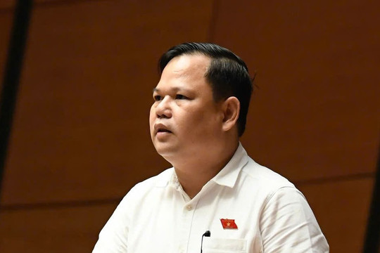 'Doanh thu 3 tỷ đồng mỗi năm, hộ kinh doanh chỉ lời 20 triệu/tháng...'
