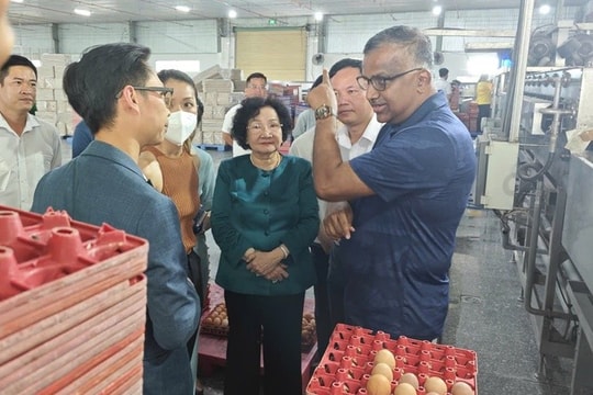 Ba Huân nợ bảo hiểm xã hội kéo dài, rớt khỏi kệ nhiều siêu thị: Tiếc nhưng phải học!
