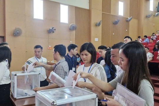 Hà Nội: 17 lô đất ở xã Quốc Oai được đấu giá thành công từ 84 - 125 triệu đồng/m2