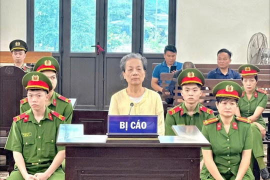 Tuyên phạt cụ bà Mai Thị Hạ 3 năm tù giam